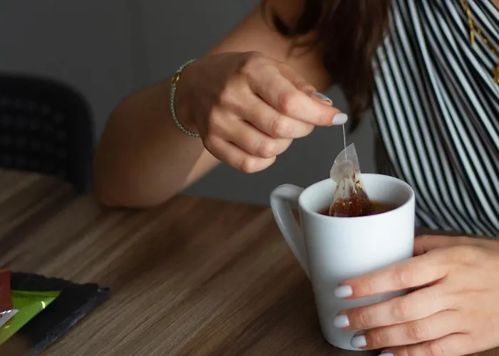 Athome Et Appart hôtel La Rochelle (Charente-Maritime)